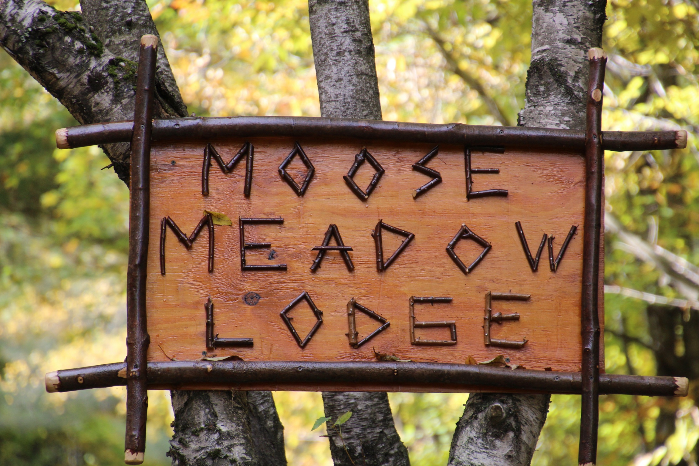 Welcome to Moose Meadow Lodge